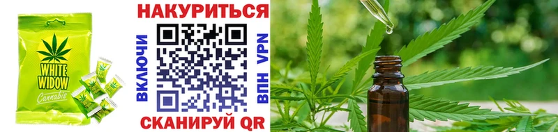 ссылка на мегу ССЫЛКА  Суровикино  Canna-Cookies марихуана 