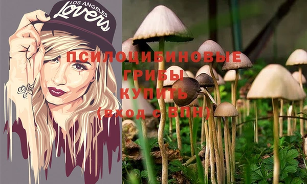 винт Ладушкин