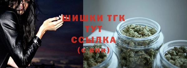 винт Ладушкин