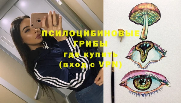твердый Лагань