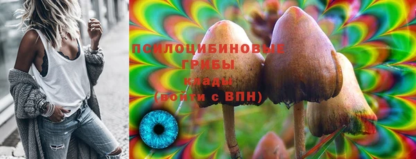винт Ладушкин