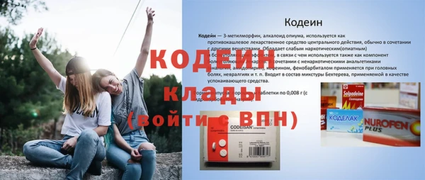твердый Лагань