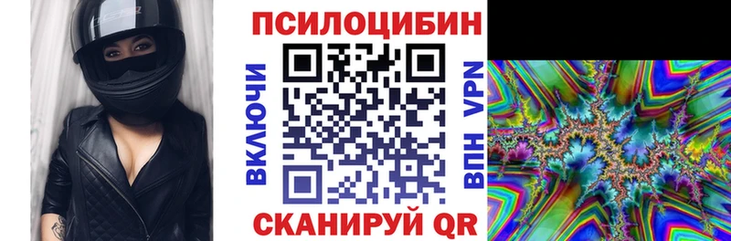 Псилоцибиновые грибы мицелий  хочу   Суровикино 